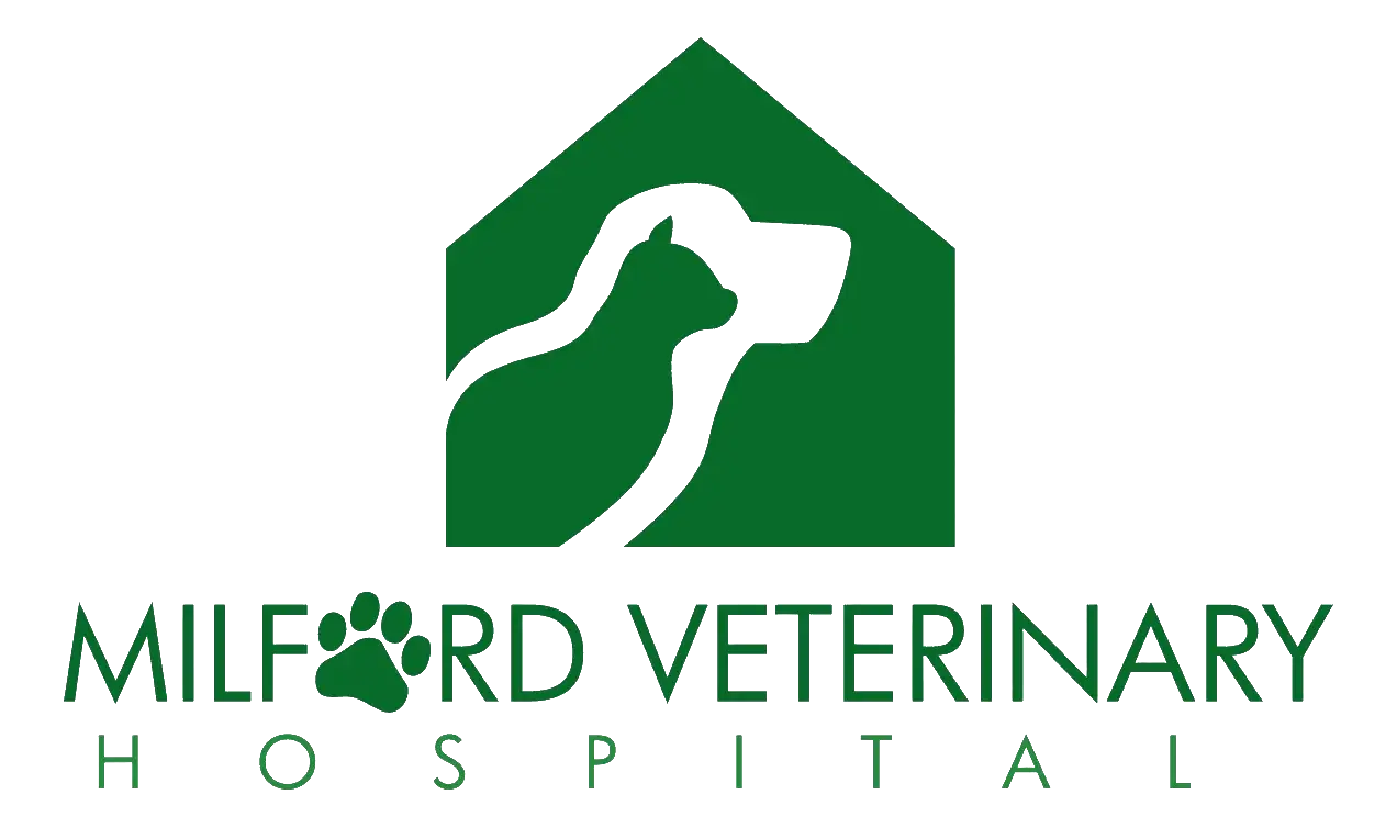 Milford Veterinary Hospital Home