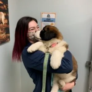 Katelyn Guill-Sanchez, DVM